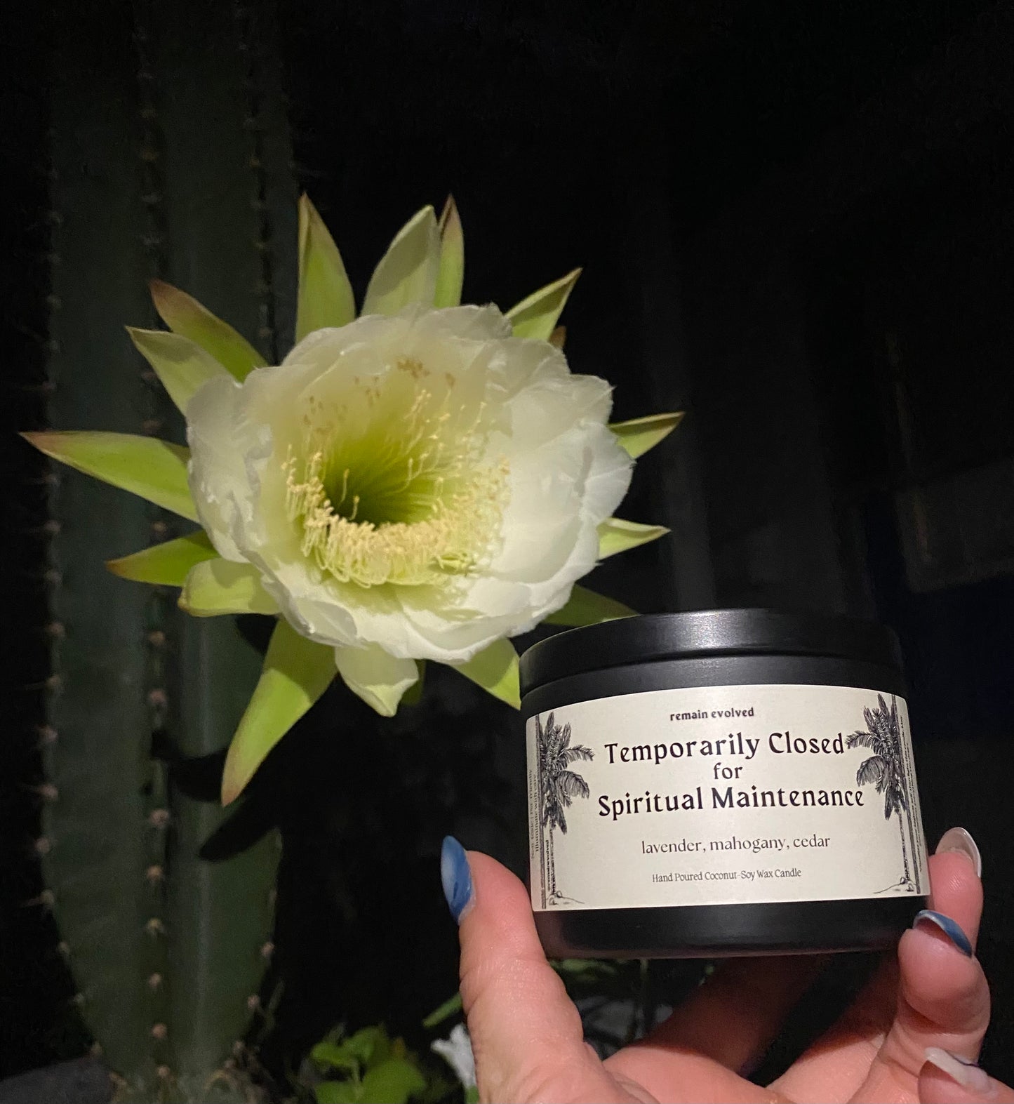 Temporarily Closed Candle