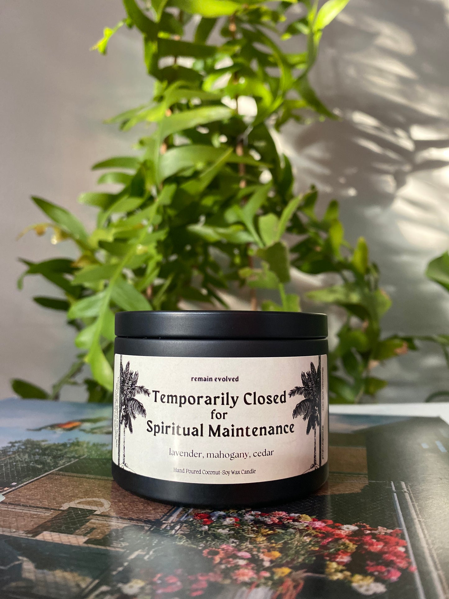 Temporarily Closed Candle