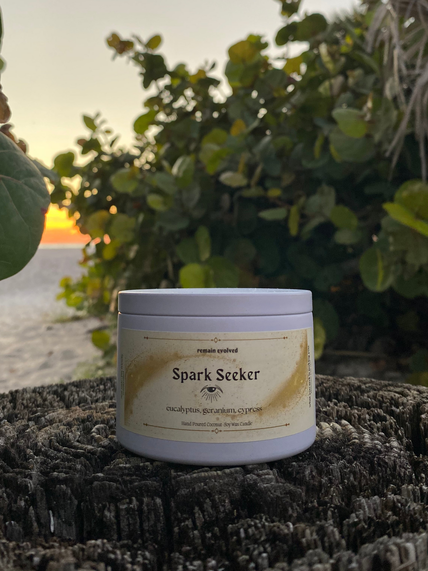 Spark Seeker Candle